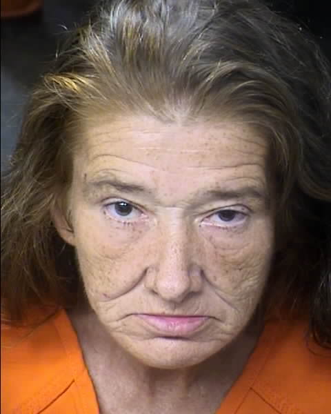Booking photo of Patricia Rooth