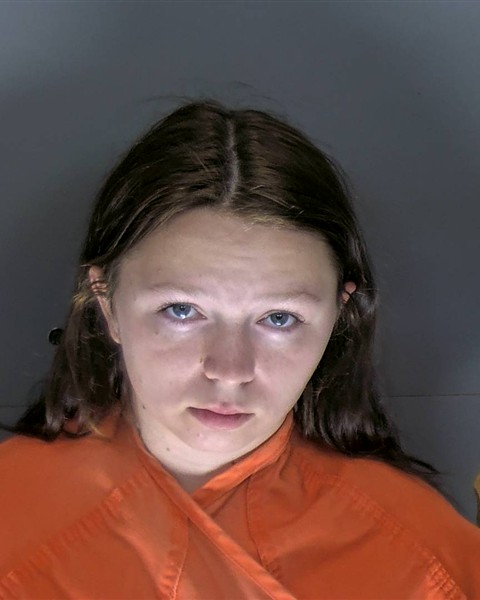Booking photo of Adrianna Arm