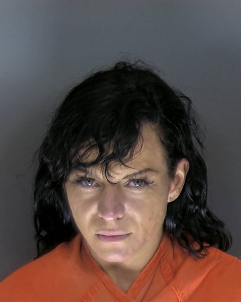 Booking photo of Anna Wessels
