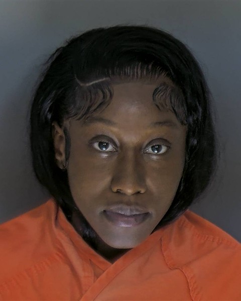 Kayla Skinner booking photo