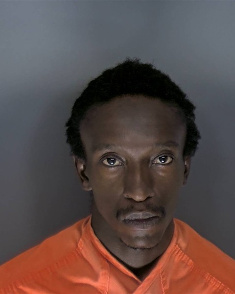 Jelin Bellamy booking photo