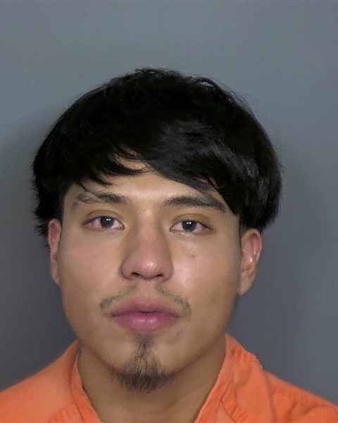 Toni Peres booking photo
