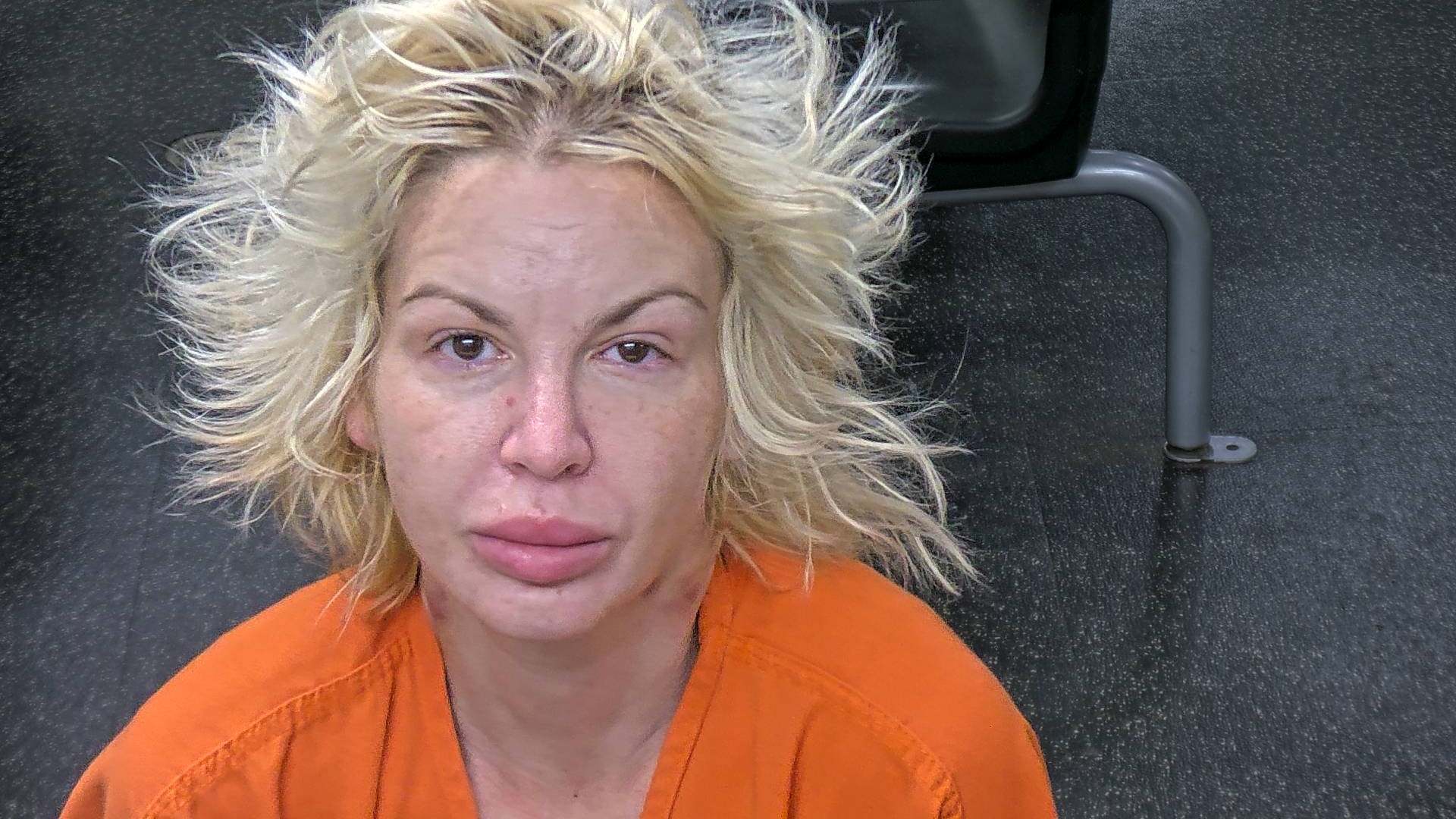 Booking photo of Julie Long