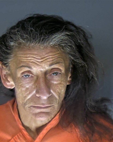 Booking photo of Julie Floyd