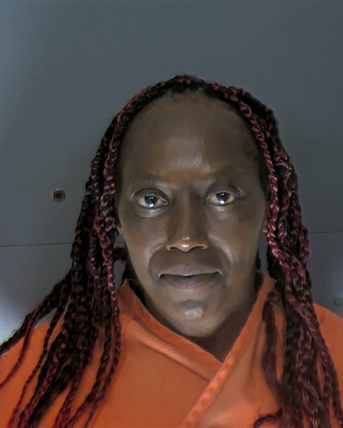 Booking photo of Annette Rich