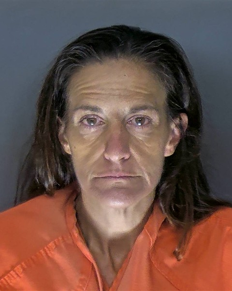 Booking photo of Ellyn Johnson