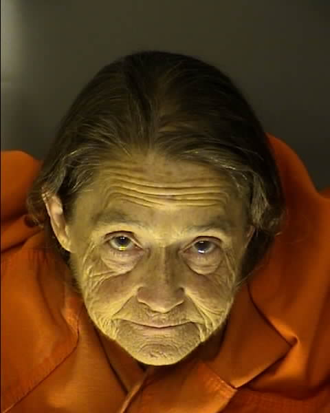 Booking photo of Sheena James
