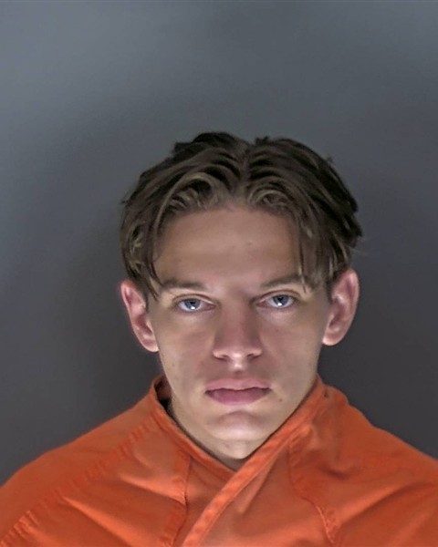 Booking photo of Davyd Dubets