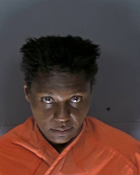Booking photo of Sybil Mcneil