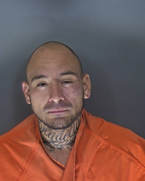 Booking photo of Martine Garcia