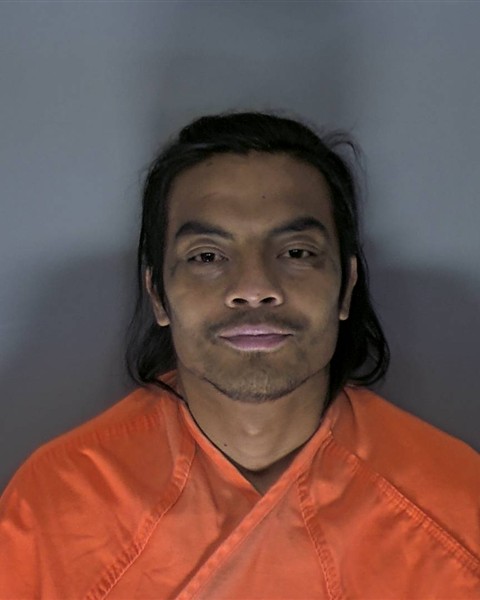 Booking photo of Fernandez Unne