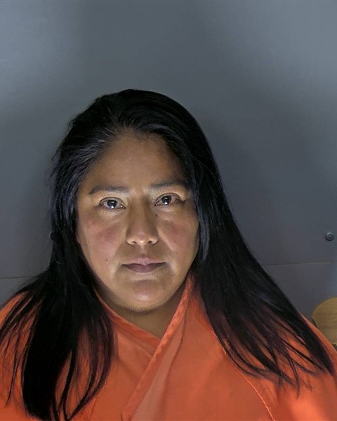 Booking photo of Fidelia Patricio-reyes