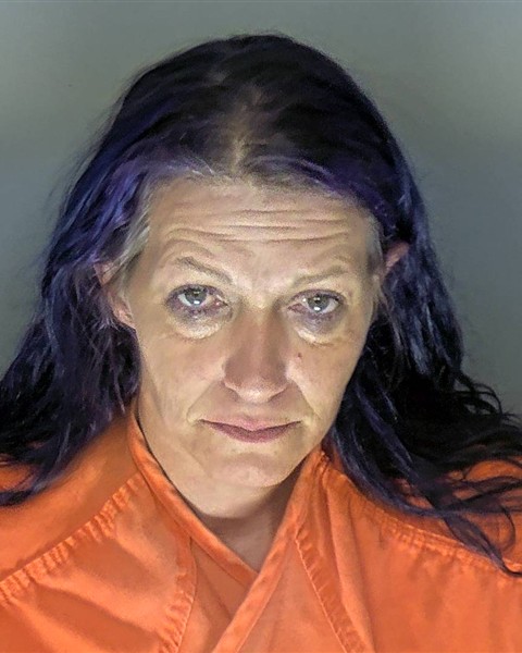 Booking photo of Sarah Langan-lemaire