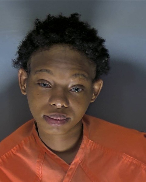 Booking photo of Shalannia Owens