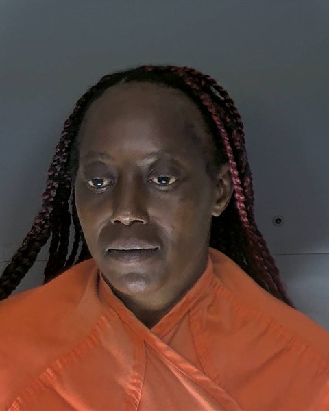 Booking photo of Annette Rich