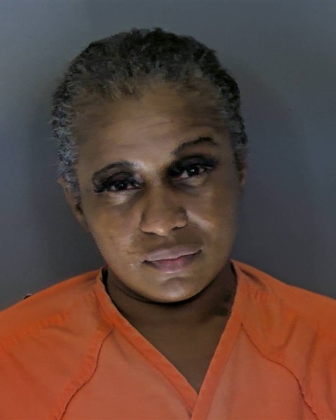 Booking photo of Erica Johnson
