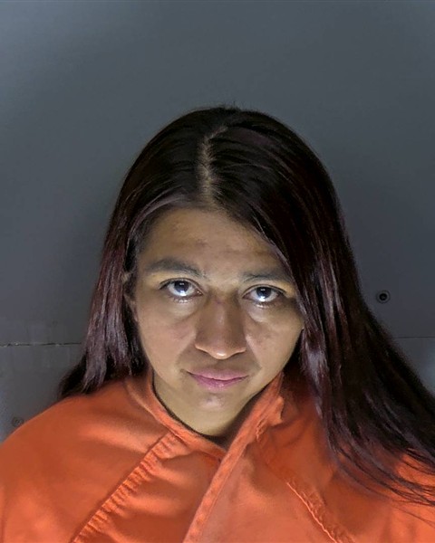 Booking photo of Irene Meza