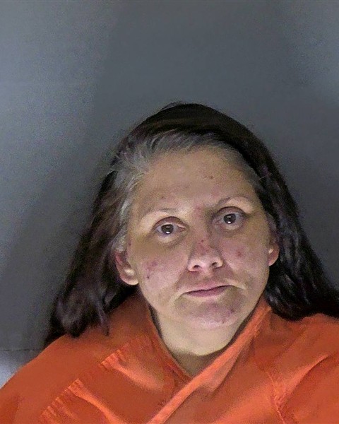 Erica Cannon booking photo