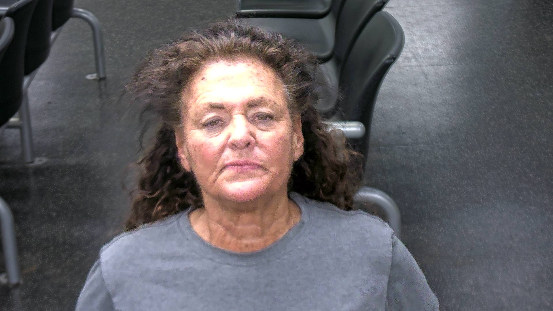 Lisa Girton booking photo