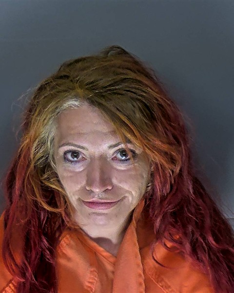 Erica Creech booking photo