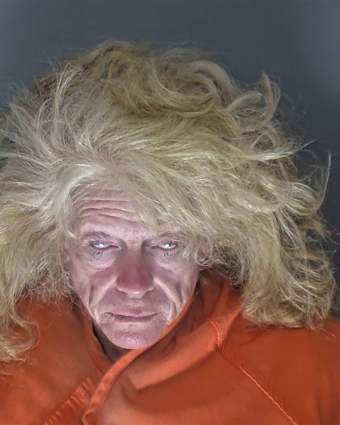 Lynne Haley booking photo
