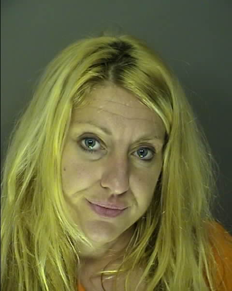 Booking photo of Sharon Vollmer