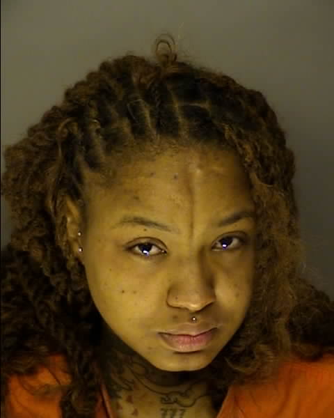 Booking photo of Journey Landis