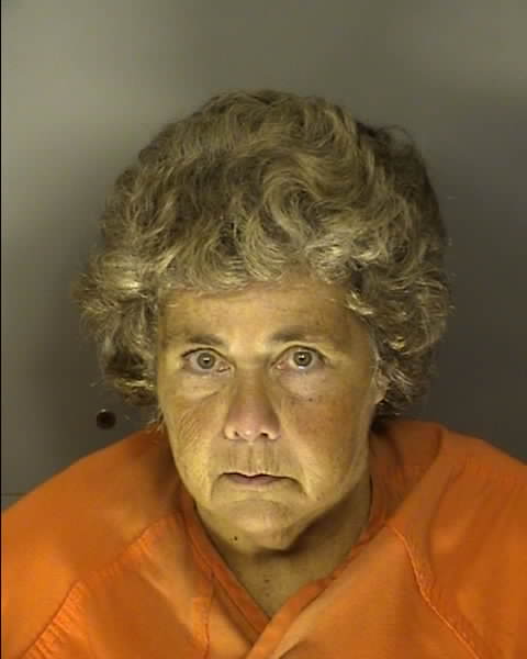 Booking photo of Stella Dipple