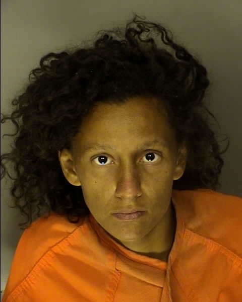 Booking photo of Destiny Matos