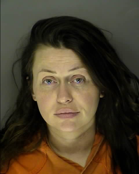 Booking photo of Evelina Yelenchak