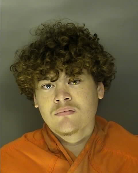 Booking photo of Dalton Strong