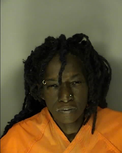 Booking photo of Alice Hamilton