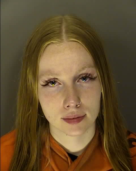 Booking photo of Leanne Whichard