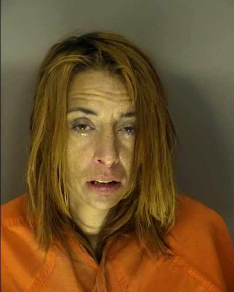Booking photo of Lillian Hendrickson