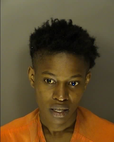 Booking photo of Tahjera Forbes