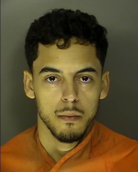 Booking photo of Savio Pereira
