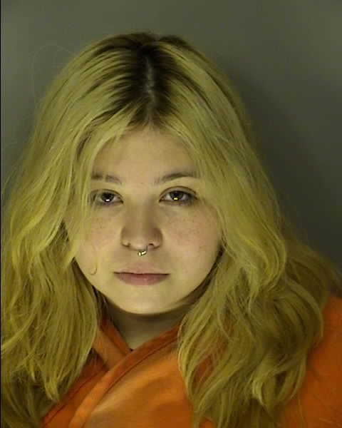 Booking photo of Meaghan Meneses