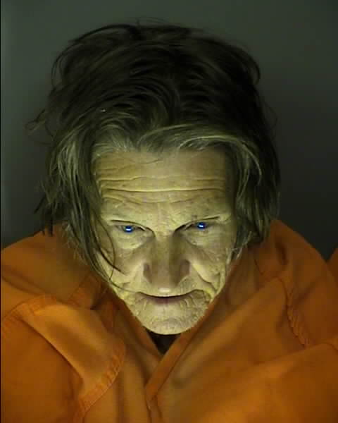 Booking photo of Renee Dick