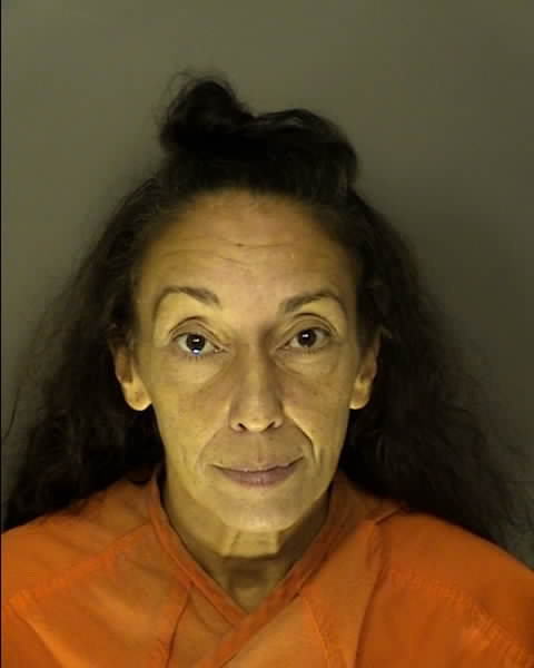 Booking photo of Denise Lamassa