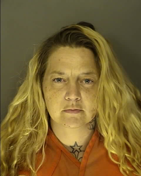 Booking photo of Megan Tucci
