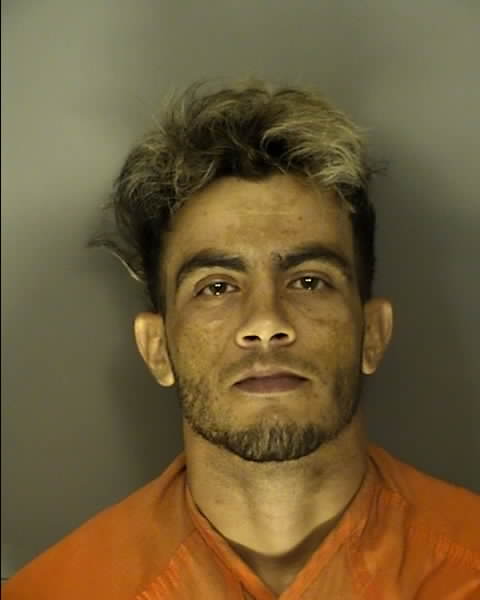 Booking photo of Livan Reyes Perez