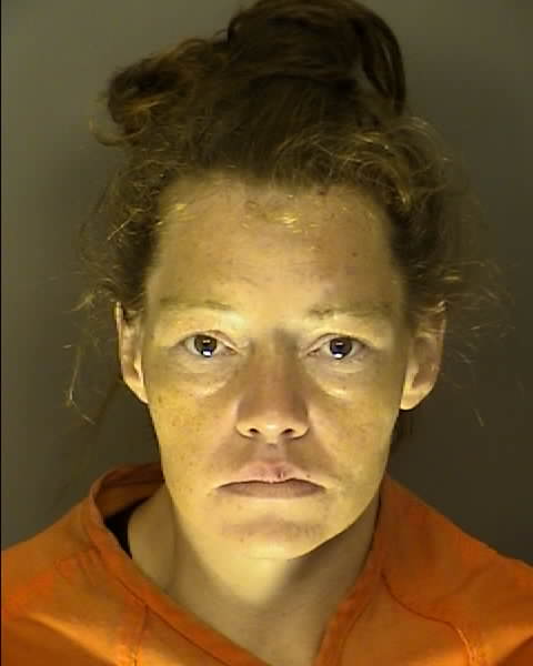 Booking photo of Sammantha Hudson