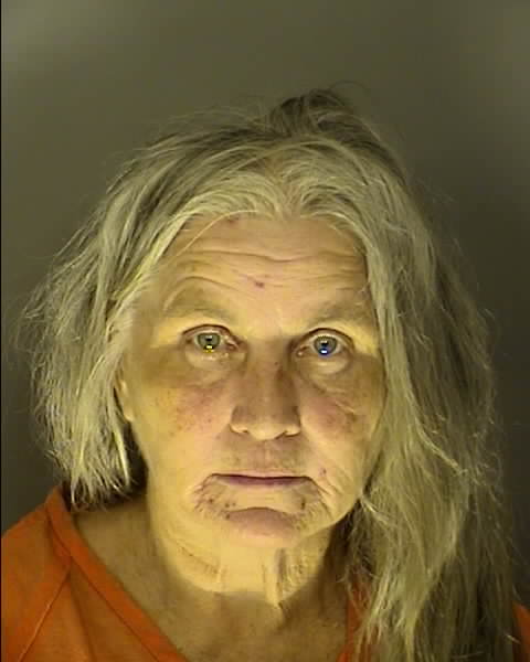 Booking photo of Brenda Burnette
