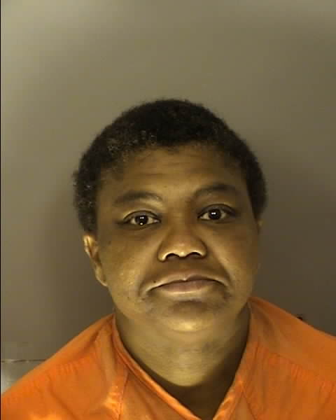 Booking photo of Sandy Lee