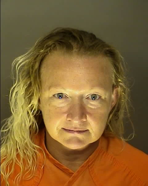 Booking photo of Tikisha Hudgins