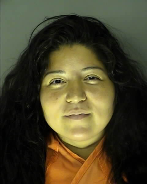 Booking photo of Josefina Mcelveen