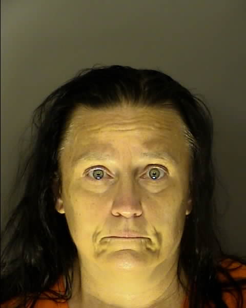 Booking photo of Sheila Sanders