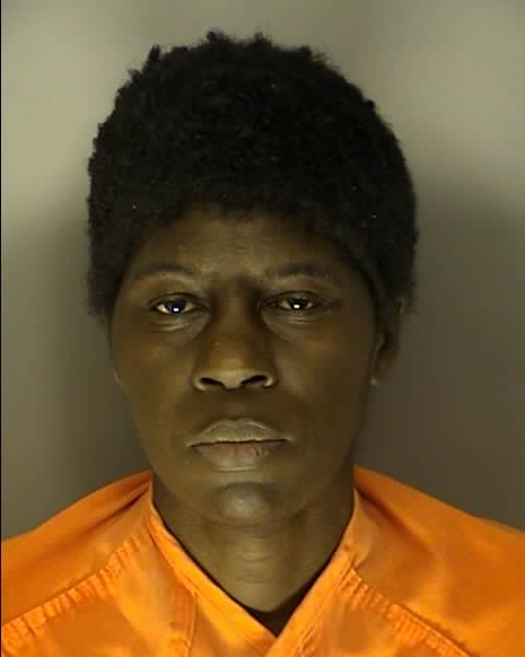 Booking photo of Zenia Wilson