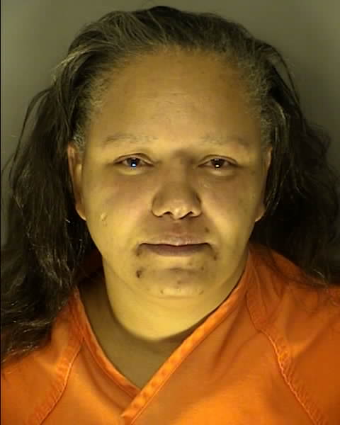 Booking photo of Sianna Dvorak