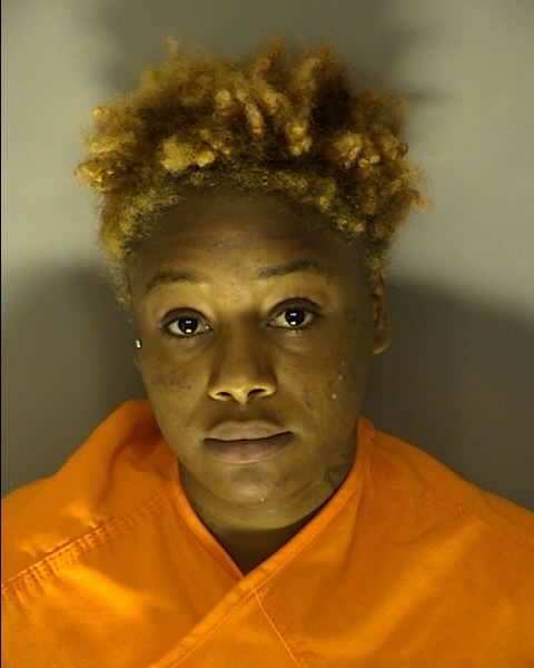 Booking photo of Brianna Mitchell